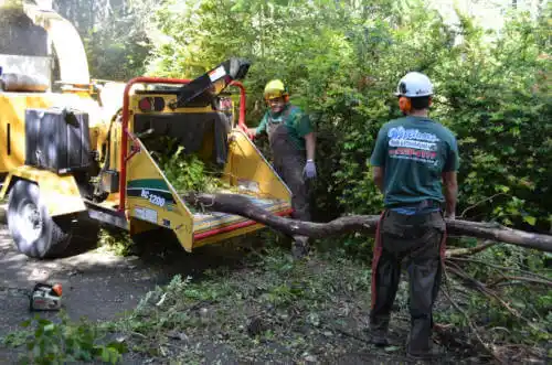 tree services Knik River